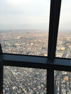 横方向に流れるのが江戸川、ではなく荒川。足元を流れている細いのは北十間川 横方向に流れるのが江戸川、ではなく荒川。足元を流れている細いのは北十間川