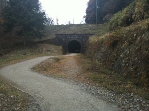 アプトの道第2トンネル。不自然な曲がり方をしており、避けた場所にレールが残されています アプトの道第2トンネル。不自然な曲がり方をしており、避けた場所にレールが残されています