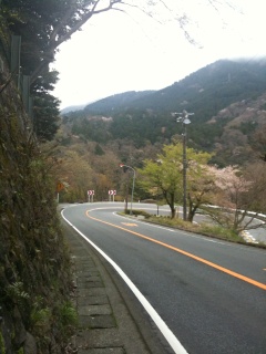 国道1号の大平台ヘアピンカーブ。ここも箱根駅伝(以下略) 国道1号の大平台ヘアピンカーブ。ここも箱根駅伝(以下略)