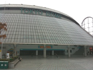 東京ドーム。この時は何のイベントもしていませんでした 東京ドーム。この時は何のイベントもしていませんでした