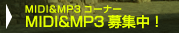 MIDI&MP3W